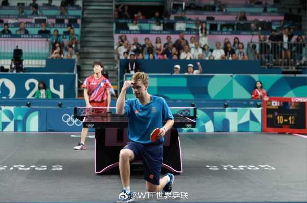 树立了一个 树立了一个