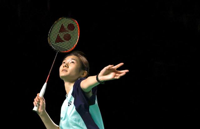 也是体系的 也是体系的